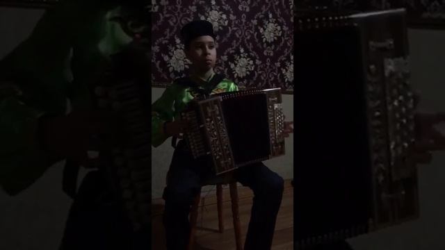 Гармонь Кондратьева В.Л смотреть онлайн