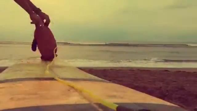 История одного Медведя смотреть онлайн