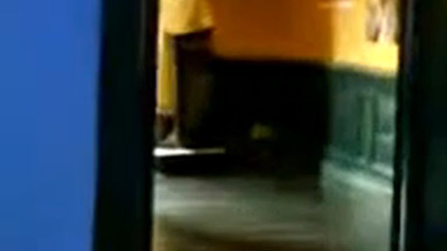 En el Instituto Riva Aguero смотреть онлайн