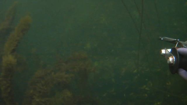 Подводная охота р.Бузулук день второй смотреть онлайн