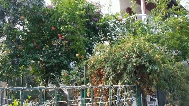 Какую одежду носить в жарких странах на отдыхе? #одежда #жара #турция2021 смотреть онлайн