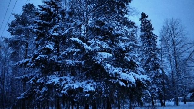 Новогодняя сказка. Лес/Зима/Подарки. смотреть онлайн