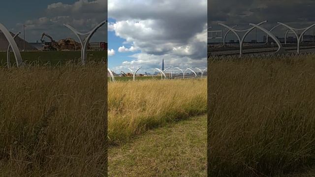 Морская набережная