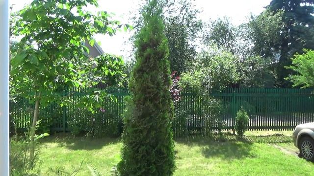 Мой сказочный рай в середине июня смотреть онлайн