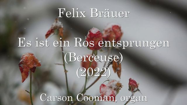 Felix Bräuer — Es ist ein Ros entsprungen (Berceuse) (2022) for organ смотреть онлайн