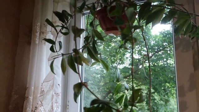 Большая пересадка - ЛЕТО 2017 смотреть онлайн
