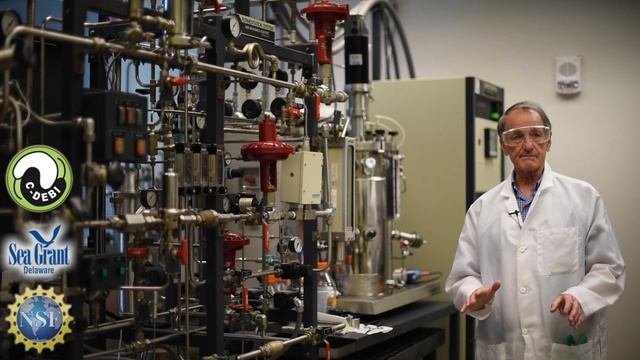 Dive Deeper - Microbial fermenter смотреть онлайн