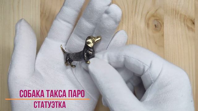 Собака Такса Паро смотреть онлайн