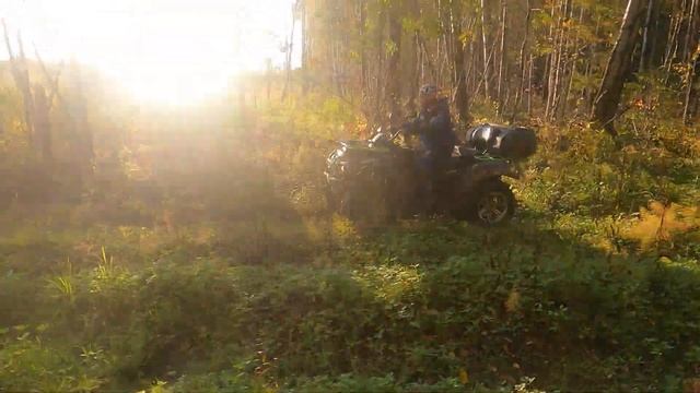 РМ 650-2 и AODES тестим смотреть онлайн