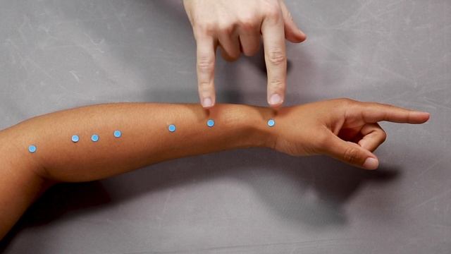 Acupuncture Point Location: The Large Intestine Channel (Large Intestine Meridian)