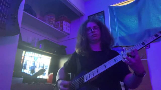 Iron Maiden- Wasted years (Bass Cover) смотреть онлайн