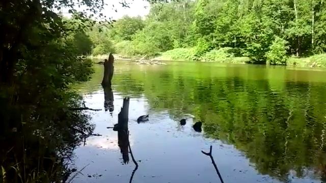 Спасское водохранилище Подмосковье Отдых и рыбалка смотреть онлайн