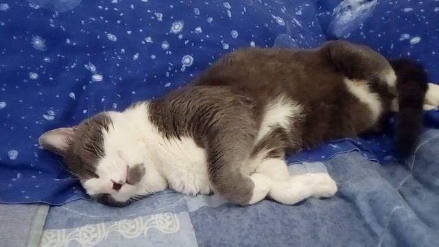Спокойной ночи, малыши❤️Italy 4:05:2019 смотреть онлайн