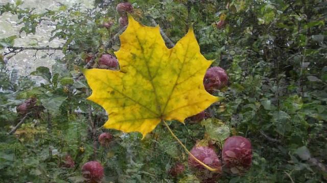 Ранняя осень. Зарисовки смотреть онлайн