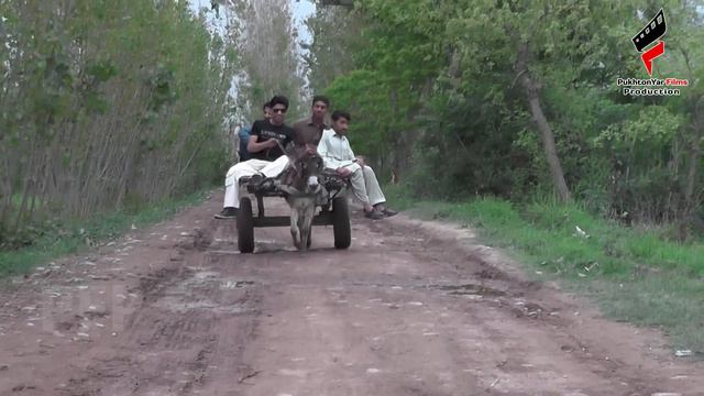 Pashto HD Telefilm DEDAN 2022 || Naseer Pashto Drama || Pukhtonyar Films