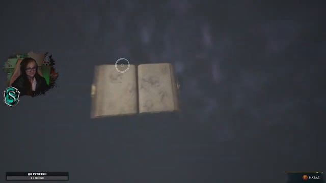 Hogwarts Legacy (Slytherin, PC) Часть 9 Выручай-комната и Крипта