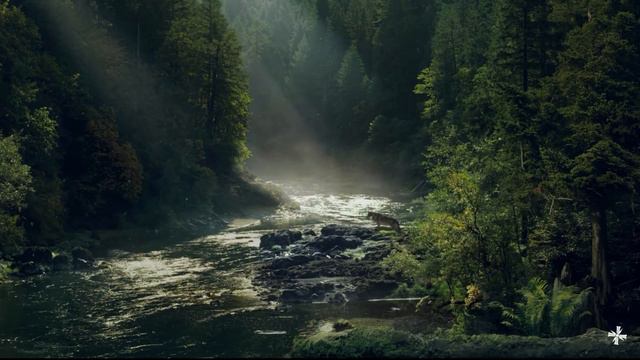 Far Cry 5 - Jacob Seed's Loading Screen смотреть онлайн