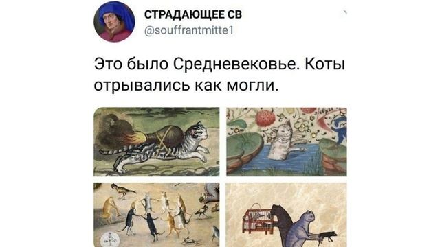 Приколы с котами. Котик моет твой экран) | Мемозг #413 смотреть онлайн