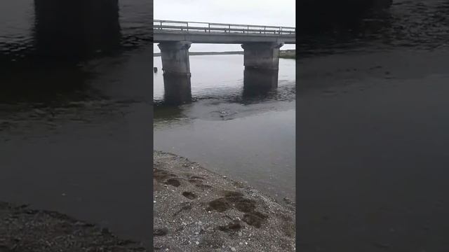 Рыбалка на Кижуча Камчатка смотреть онлайн
