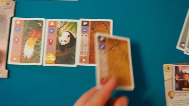 Обзор настольной игры Эксплориана | Игра, которая оказалась посередине смотреть онлайн