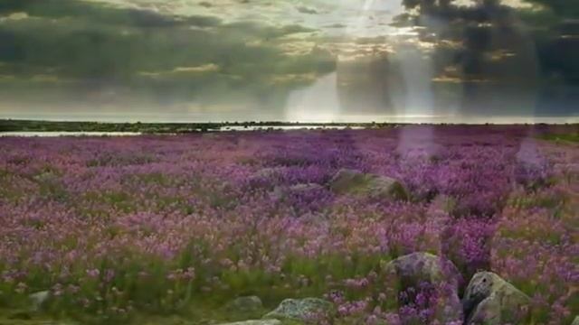 Enigma - Return To Innocence