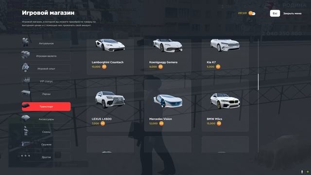 ЗАБАГАЛ 500.000 ДОНАТА НА 1 LVL в GTA SA (RODINA RP) смотреть онлайн