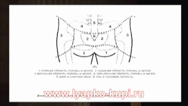 Аппликатор Ляпко Ромашка применение смотреть онлайн