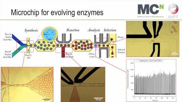 Yonggang Zhu - Microfluidic chips for sensing applications смотреть онлайн