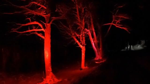 ??ЗИМНИЙ САД СВЕТА в ЭТНОГРАФИЧЕСКОМ МУЗЕЕ - РИГА, ЛАТВИЯ / На улице -15°C / Дзинтра расскажет смотреть онлайн