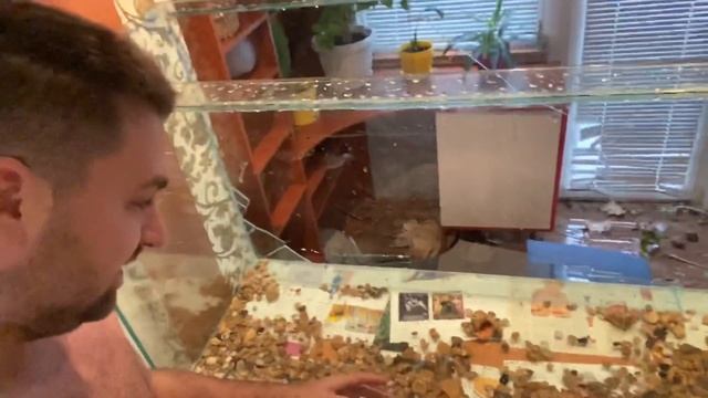 ЛОПНУЛ АКВАРИУМ НА 500 ЛИТРОВ И ЗАЛИЛ ВЕСЬ ДОМ смотреть онлайн