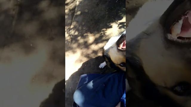 сон приснился. в прошлом очутился я))? смотреть онлайн