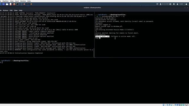 Solved: issue with FTP server (229 Entering Extended Passive Mode (|||49344|)) смотреть онлайн