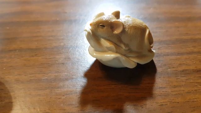 APEXEL ОБЪЕКТИВ, ЛИНЗА НА СМАРТФОН (ДЕЛАЕМ КАМЕРУ ЛУЧШЕ) смотреть онлайн