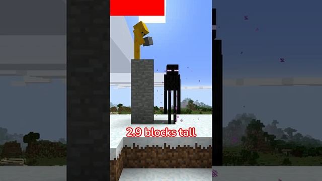 how tall is a minecraft enderman in real life?? #shorts смотреть онлайн