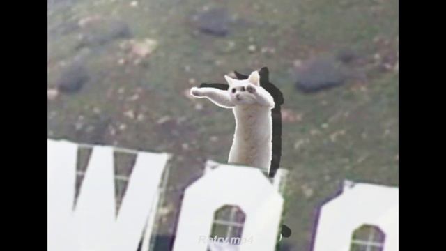 A small but big rewind смотреть онлайн