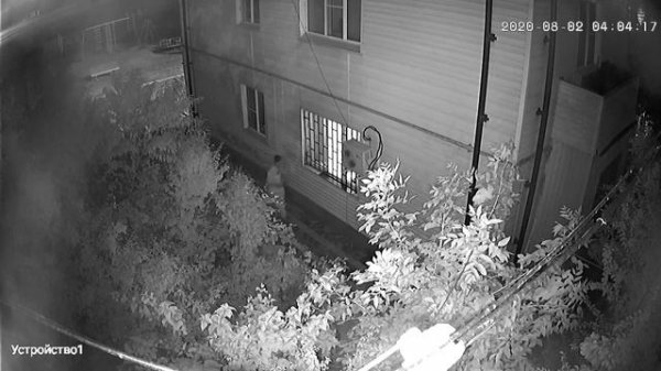 Вор в Чичне (Гудермес).