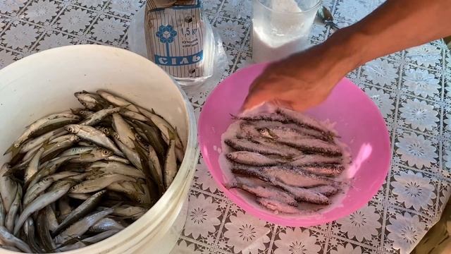 Как правильно засолить уклейку! Проверенный годами рецепт. Вялим уклейку смотреть онлайн