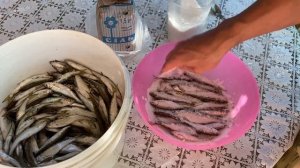 Как правильно засолить уклейку! Проверенный годами рецепт. Вялим уклейку