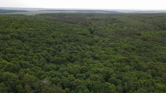 участок дороги у с. Троицкое, 02.06.2021 смотреть онлайн
