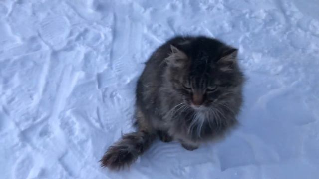 Валяки Маруся и Мартин смотреть онлайн