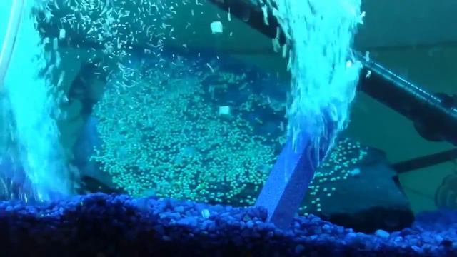 Celal Şengör - Tesadüf смотреть онлайн