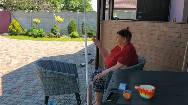 Посадили сакуру и привели в порядок огород смотреть онлайн