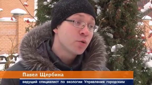 Назарово помощь бездомным животным