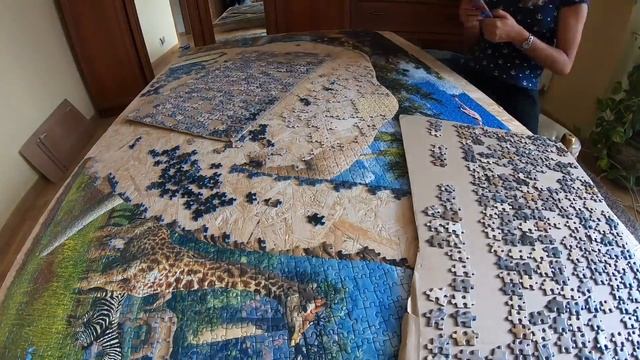 Timelapse Puzzle Ravensburger At The Waterhole 18 000 Part A смотреть онлайн