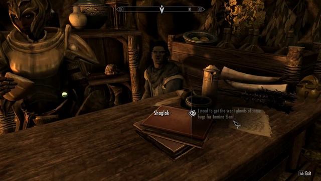 Skyrim SE Immersive Roleplaying - Project AHO - Episode 57 смотреть онлайн