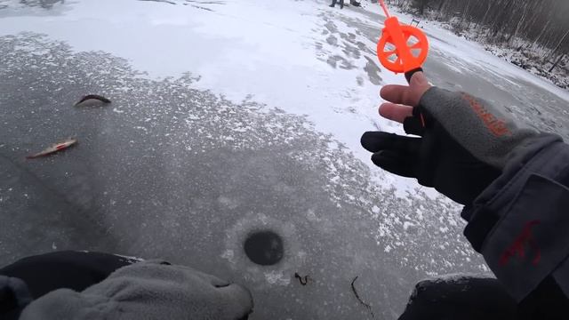 ШИКАРНЫЙ ПЕРВЫЙ ЛЕД 2022-2023.ЗЛЫЕ ЩУКИ И БЕШЕНЫЙ ОКУНЬ. смотреть онлайн