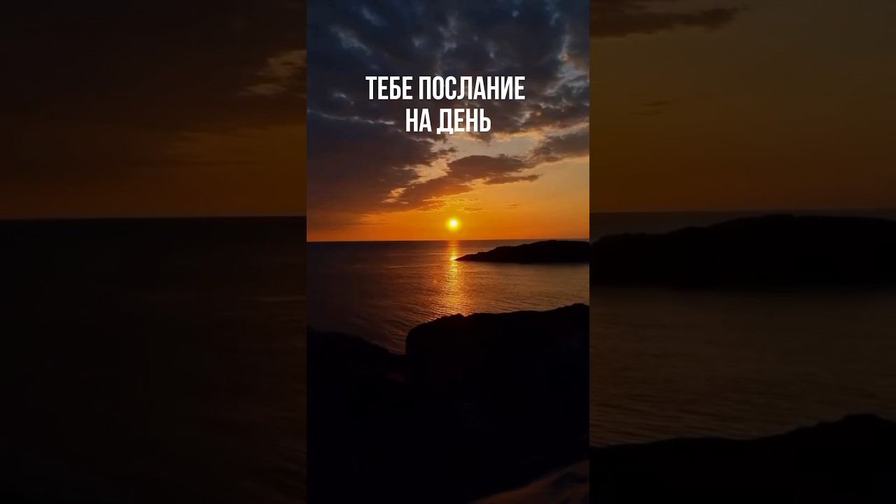 Пиши свою любимую аффирмацию в комментариях смотреть онлайн