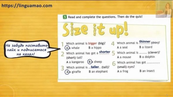 Spotlight 4 класс Workbook страница 33 номер 5 ГДЗ решебник