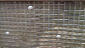 Укладка керамической плитки на плиту ОСБ