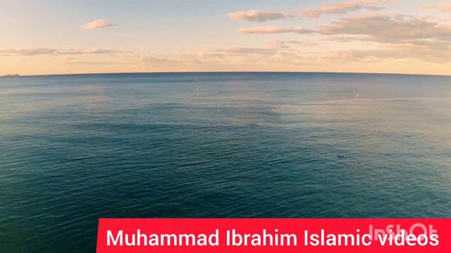 Beautiful Quran Telawat/Qari Raad al Kurdi/Nature with Quran Recitations смотреть онлайн